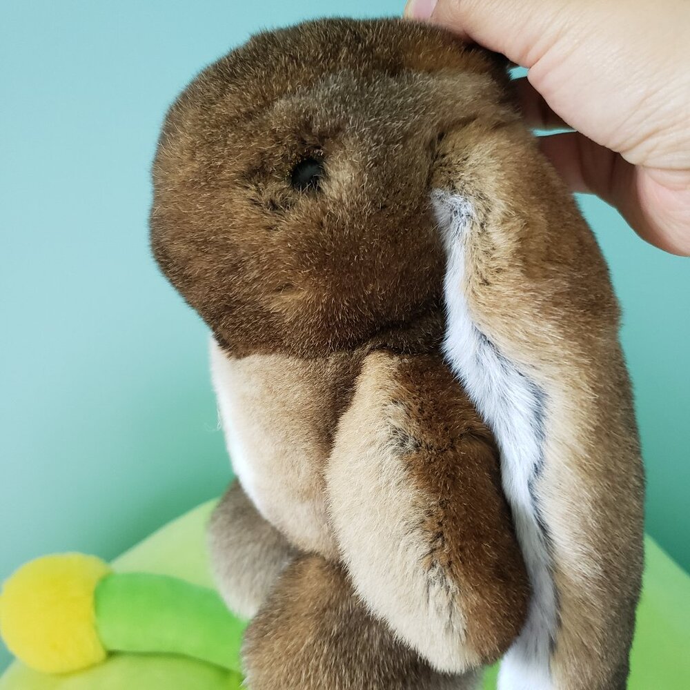 Rabbit - Picture 2 of 6